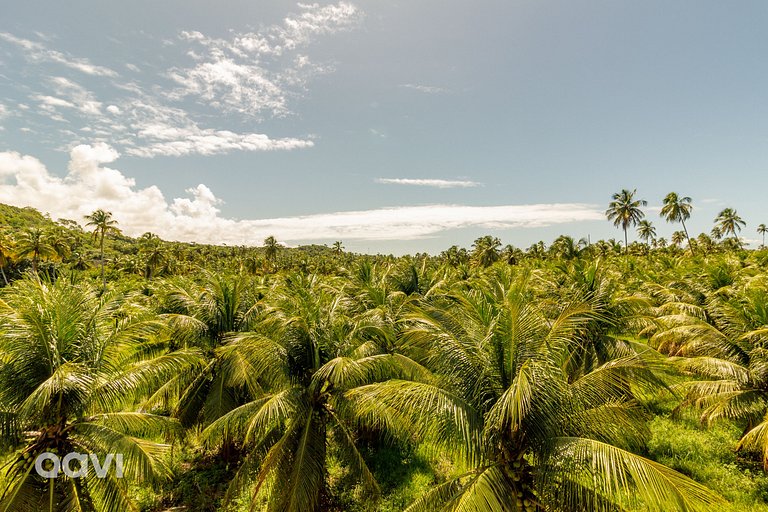 Casa em Condomínio Fechado em Milagres - Villa Pysa 08