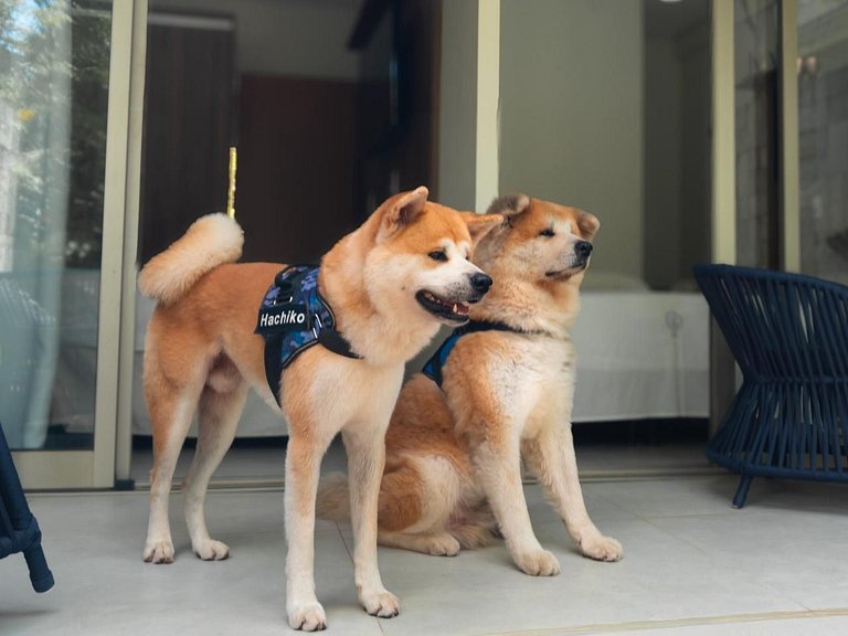 Apartamento no Ile de Pipa